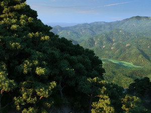 huangshan 3D-Modell