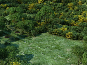temple 3D Model