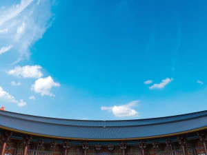 संग्रहालय 3D मॉडल