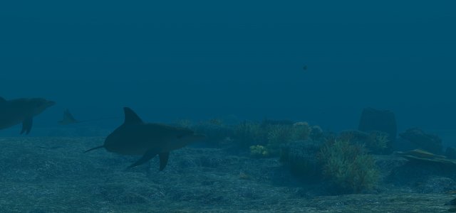 seabed 3D Model .c4d .max .obj .3ds .fbx .stl .blend 