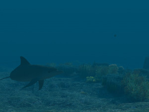 seabed 3D Model