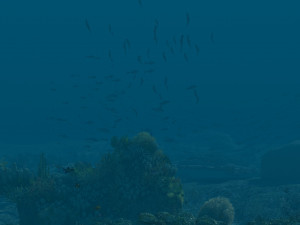 seabed 3D Model