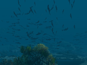 seabed 3D Model