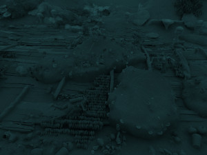 seabed 3D Model