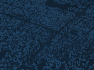 city night scene Modello 3D
