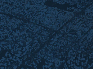 city night scene 3D Model