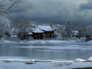 snow scene 3D मॉडल