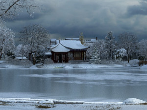 snow scene 3D Model