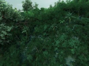 selva Modelo 3D