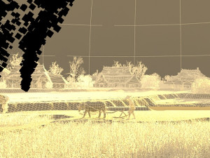 farmland Modèle 3D