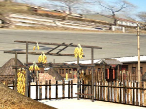northeastern countryside 3D Model