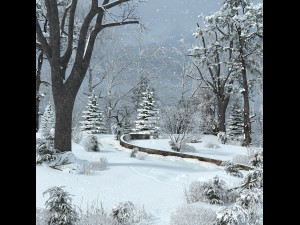 snow scene 3D Модель