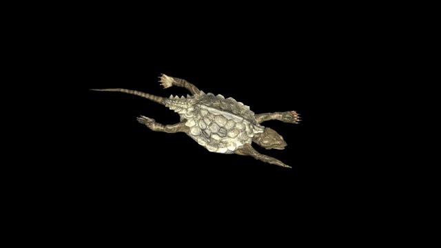odontosaurus 3D 模型 .c4d .max .obj .3ds .fbx .stl .blend 
