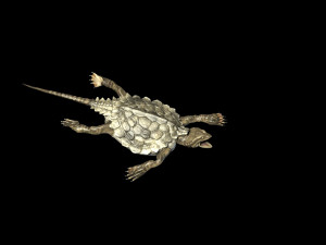odontosaurus 3D 模型
