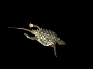 odontosaurus 3D 模型