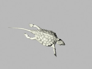 odontosaurus 3D 模型
