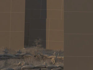 fighting 3D Model