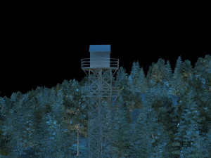forest farm 3D 模型