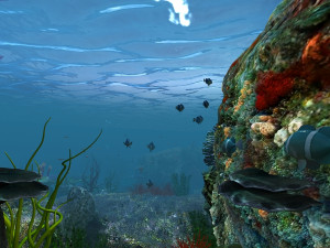 seabed Modelo 3D
