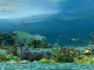 seabed 3D Model