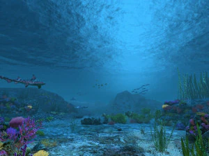 seabed 3D Model