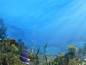 seabed 3D Model