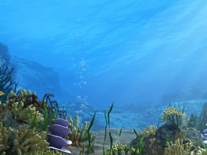 seabed 3D Model