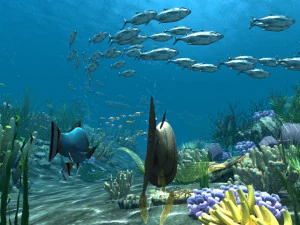 fondo del mar Modelo 3D