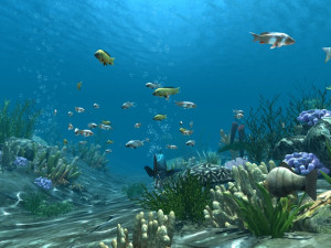 seabed 3D 模型