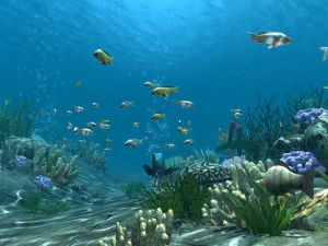 fondo del mar Modelo 3D