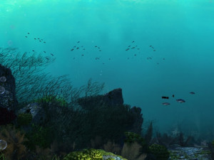 seabed 3D Model