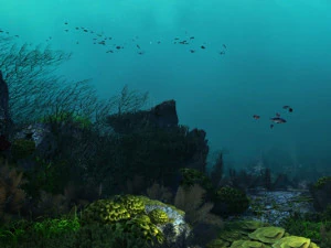 seabed 3D Model
