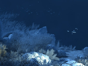 seabed 3D Model