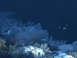 seabed 3D Model