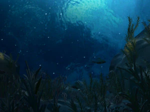 fondale marino Modello 3D