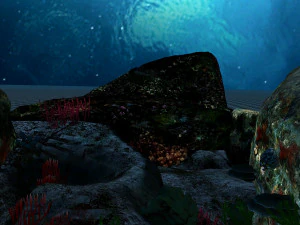 fondale marino Modello 3D