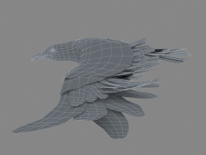 seagull 3D 模型