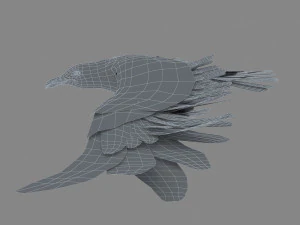 seagull 3D Model
