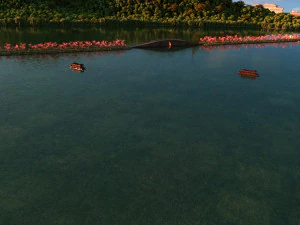 lac ouest de hangzhou Modèle 3D