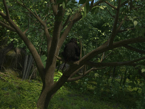monkey Modelo 3D