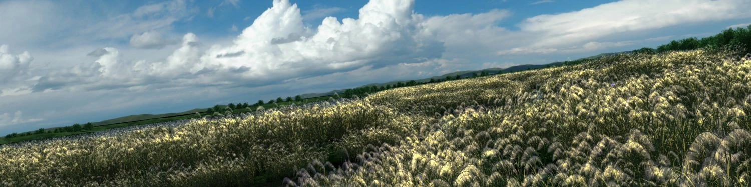 wetlands 3D Model .c4d .max .obj .3ds .fbx .stl .blend