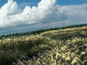 wetlands 3D Model
