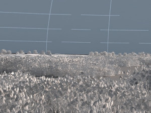 wetlands Modèle 3D