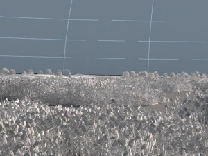 wetlands 3D Model
