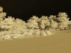 rural 3D Model