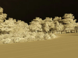 rural 3D Model