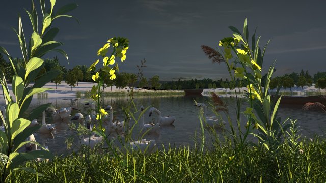 wetlands 3D Model .c4d .max .obj .3ds .fbx .stl .blend 