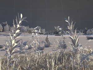 wetlands 3D Model
