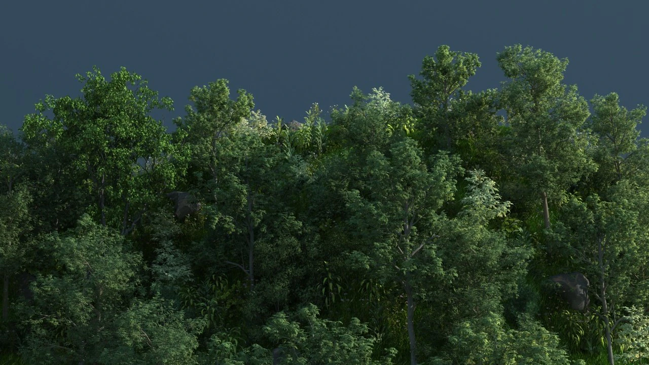 rainforest 3D Model .c4d .max .obj .3ds .fbx .stl .blend 