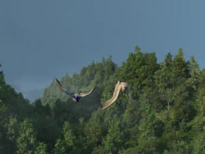 mountain forest 3D Model